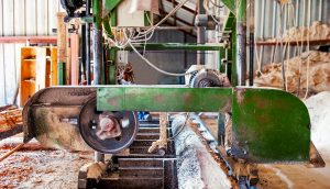 Bandsaw
